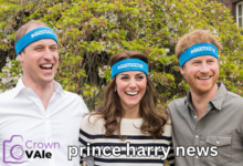 prince harry news