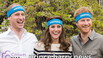 prince harry news