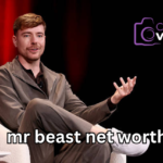 mr beast net worth