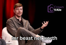 mr beast net worth