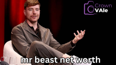 mr beast net worth