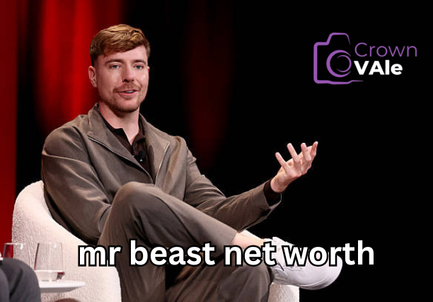 mr beast net worth